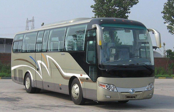 1735112768937.jpg